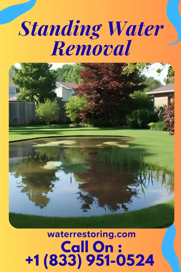 Standing Water Removal in Hill City, MN